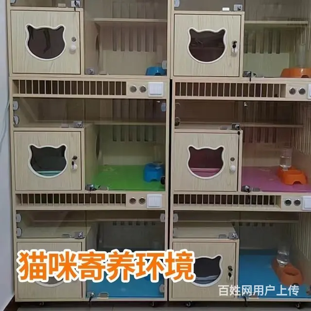 林芝市宠物托运（猫狗）邮寄快递（2023今日 推荐运输 - 图片 4