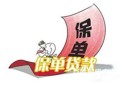 保单贷款，有保单就能贷 - 图片
