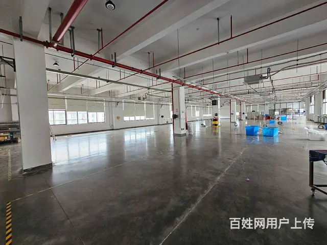 大义1至4层5000平，精磨地坪，消防丙二类带喷淋，可环评。 - 图片 8