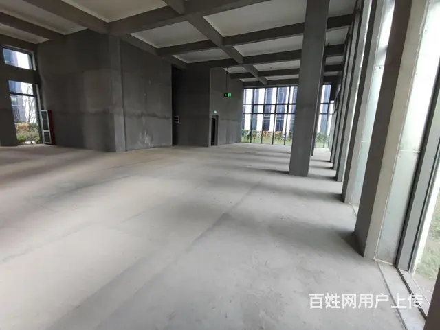 富春中国安谷花园独栋1100方2000方精装送大院子仅剩6栋 - 图片 3