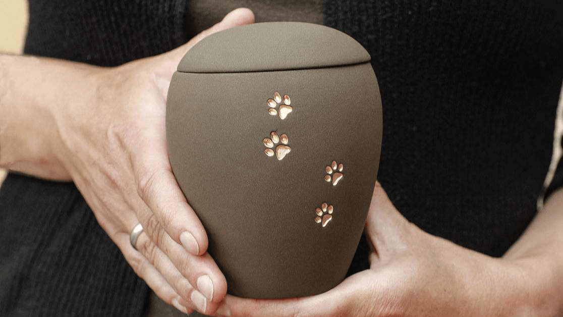 北京宠物火化殡葬服务24小时专车上门送骨灰罐