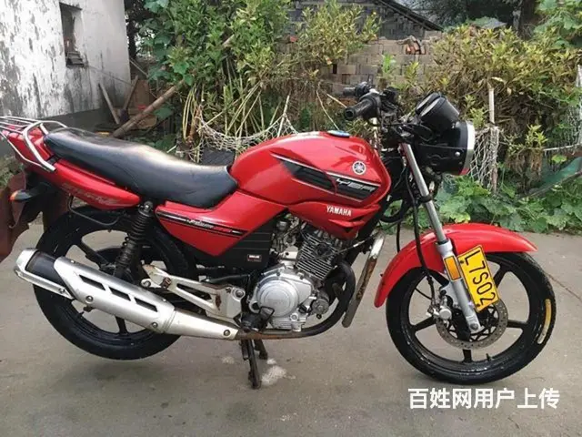 诚信车业，专业批发二手摩托车，各种品牌，大量现货， - 图片 2