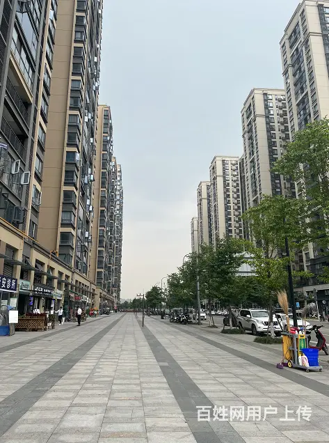 XSY 几十栋高档社区环绕底商旺铺可空转 - 图片 6