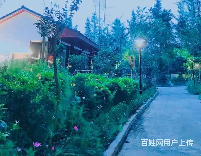 （精选好铺)安州区秀水镇环境优美农家乐转让 - 图片 10
