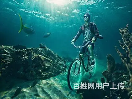 哈尔滨平面设计、标志、展示设计培训 - 图片 1