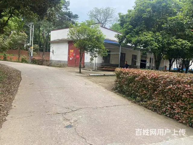 (房东直租)长龙街道260平厂房带整栋房屋以及400空坪优价 - 图片 4