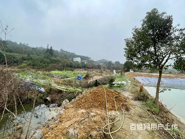 （老板本人） 开福区捞刀河白霞村独门独院农家乐出租 6014 - 图片 9