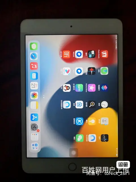 ipad mini4 - 图片 1