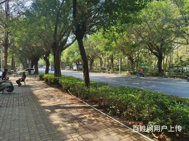 （51旺铺推荐）春光路310平旺铺出租 - 图片 8