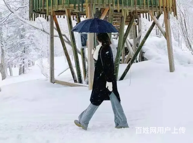 呼伦贝尔满洲里哈尔滨旅游拼车旅游拼车价格司机师傅电话 - 图片 3