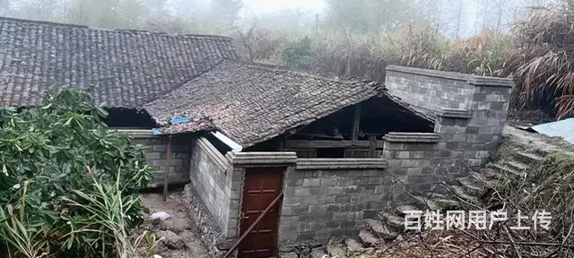 自己老家野蜂蜜，不是养蜂人，就卖点自己家真蜜 - 图片 6
