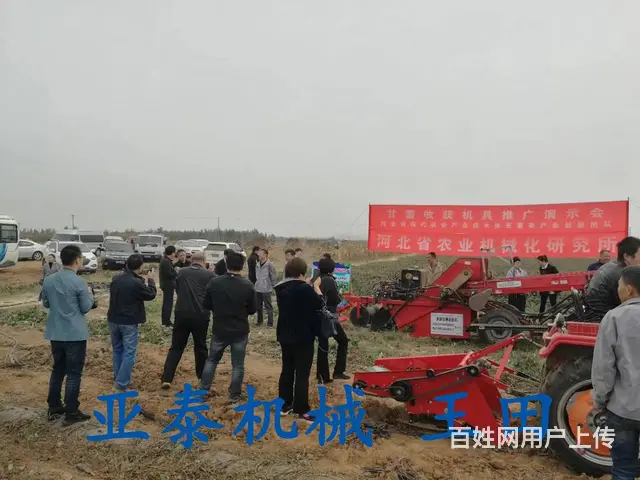 地瓜收获机  红薯收获机  四轮拖拉机配套地瓜收获 - 图片 2