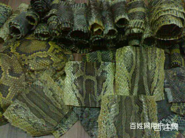 二胡越胡三弦琵琶阮柳琴月琴等修理换皮蒙皮翻新配件等 - 图片 3