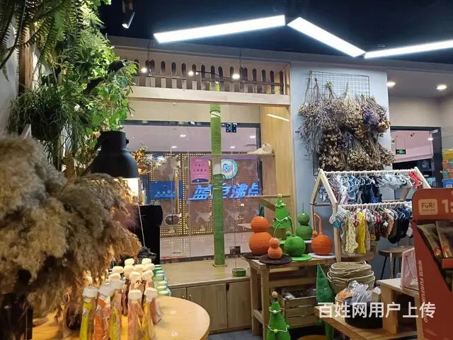 萧山北干商业中心店铺高端群体宠物猫咖店转让 - 图片 3