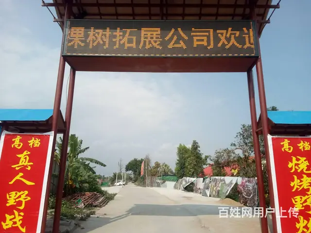 专业制作维LED显示屏,发光字,广告招牌,亮化工程 - 图片 10