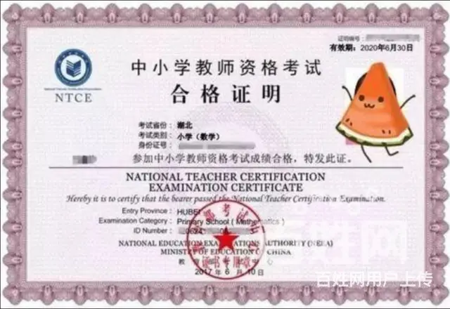 护士资格考试 教师资格证，园长证，幼儿体智能训练证 - 图片 2