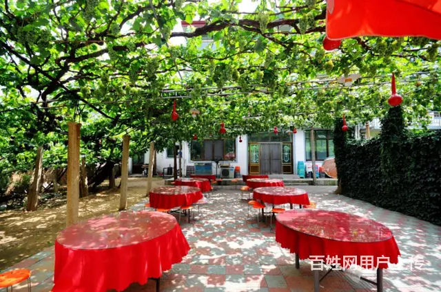 秦皇岛一般的昌黎葡萄沟吃住一体农家院  微信多少 - 图片 3