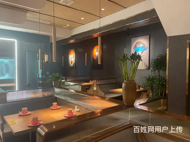 F1111神火大道与淮河路交叉口路西向南餐饮店整体转让 - 图片 4