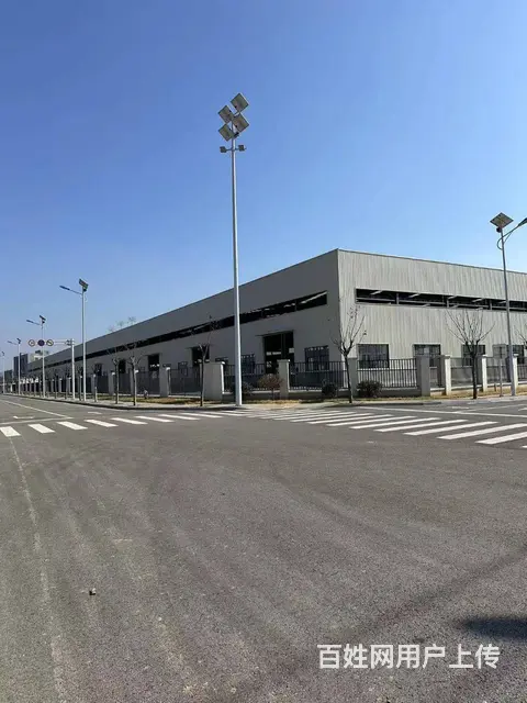 （城市在线找房免费）大彭工业园标准钢结构厂房出租（出售） - 图片 8