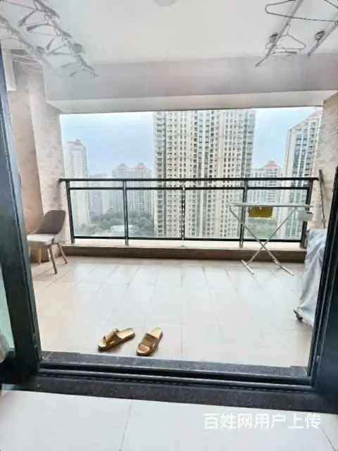 梅华中 电梯中高层南北通 看园林景 仁恒星园 - 图片 6