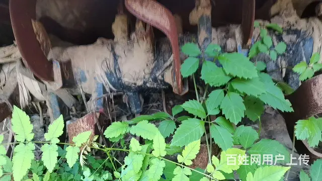 换大机子，旋耕机小了 - 图片 1