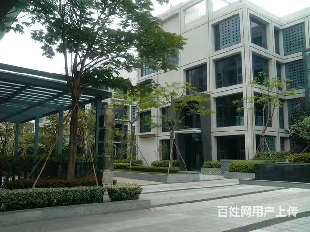 大湾区横琴大桥旁 主干道边， 商务园区  独陆军厂 - 图片 5