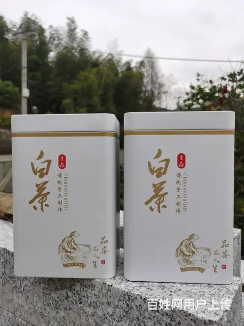 春节送礼选好茶 黄金叶茶 安吉白茶 小戴白茶直销 - 图片 7