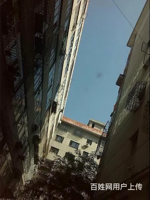 兰州大拇哥挡风玻璃修补 - 图片 5
