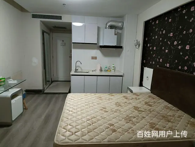 精装公寓，拎包入住 - 图片 3