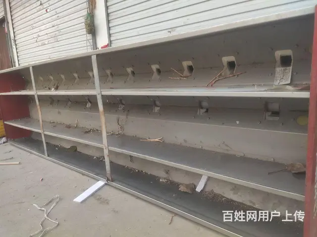 三箱播种机，不锈钢滚子 - 图片 1
