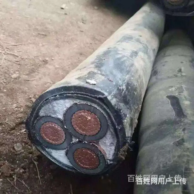 池州工程电缆回收周边欢迎合作 - 图片 4
