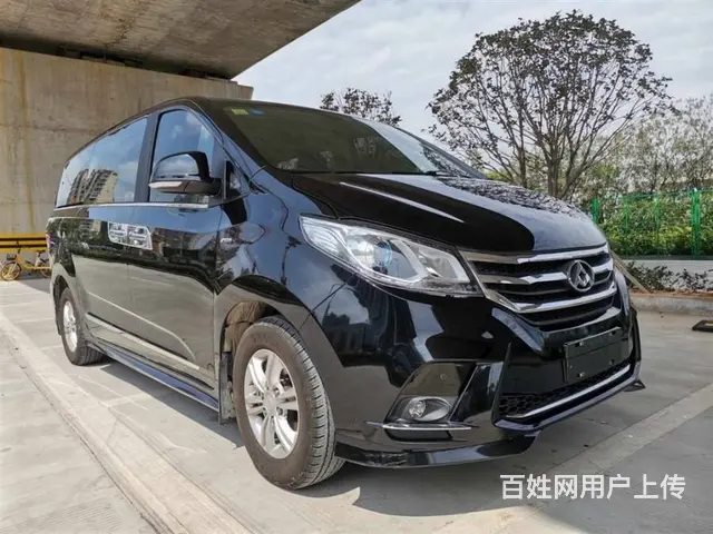 大通G10 2021款 2.0T 手动 智享版7座 - 图片 2