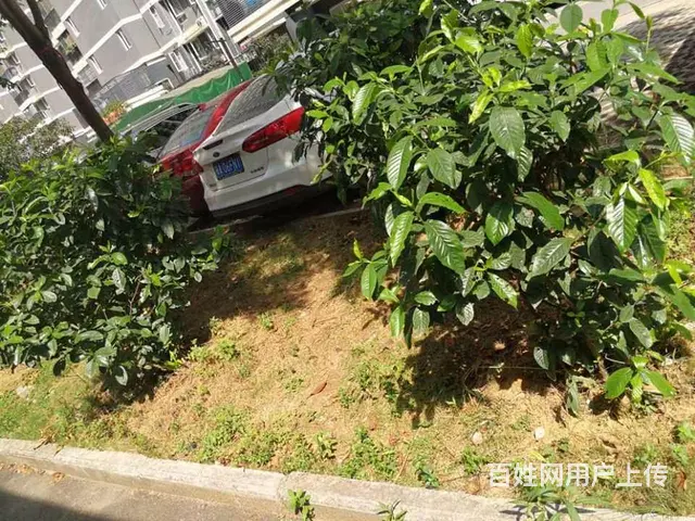 东沙花园 铁机路地铁站附近 上班方便 直接到达汉街 - 图片 9