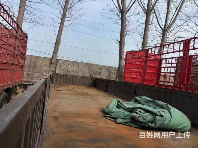 出售二手9.6米平板车德龙X3000前四后八带液缓 - 图片 8
