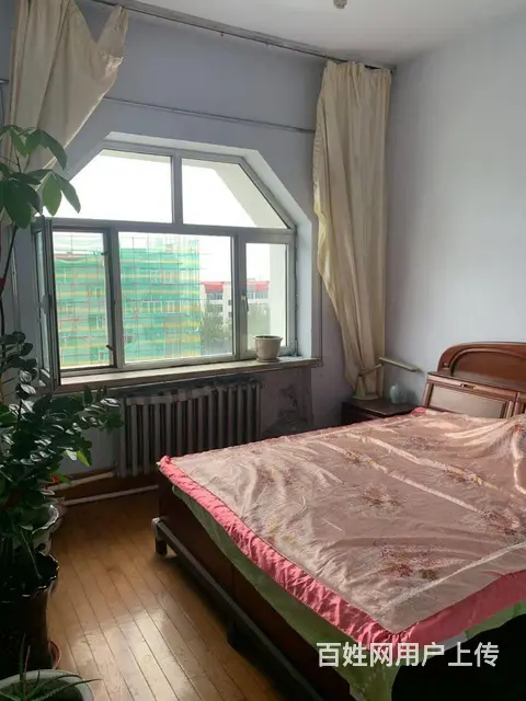 邮电小区出租 - 图片 2