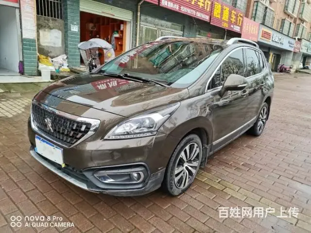 标致 - 图片 1