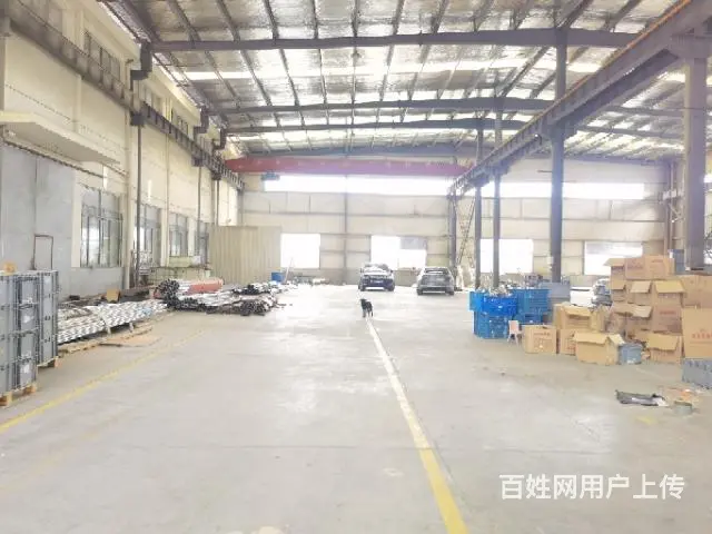 洛阳镇工业园区厂房5000平米可分租 - 图片 7