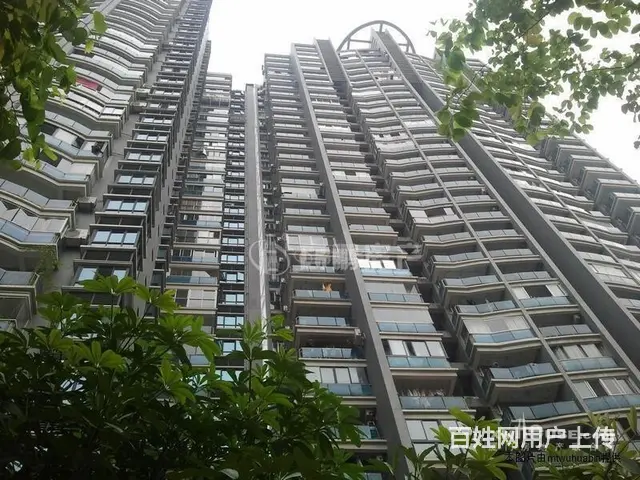 没房子了 没有这样你喜欢的房子了 亲们不要再错过了 - 图片 9