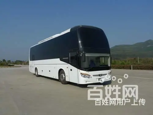 宠物运输/宁波宠物托运（宿州宠物网 - 图片 5