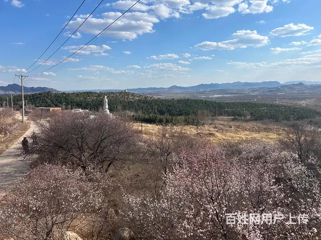 二手苹果14 - 图片