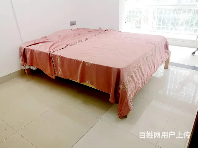 保税港区华美空间旁古龙公寓两房出租 - 图片 4