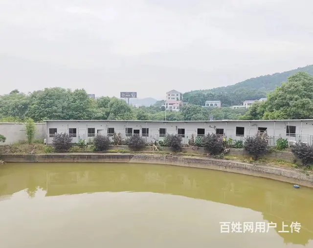 （老板本人）岳麓区长韶娄高速旁独栋厂房仓库别墅出租 6446 - 图片 9