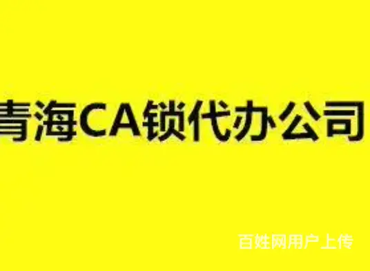 青海西宁公共资源交易中心电子招投标CA锁跑腿代办 - 图片 1