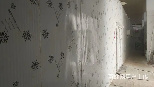 经区长峰黄海路多间冷库出租 分租 - 图片 5