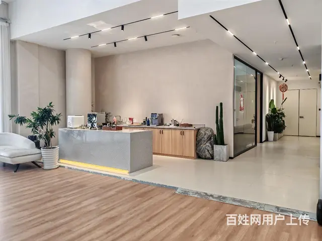实拍 层高4.8米三面采光落地窗 拍摄 直播 服装展厅都适合 - 图片 2