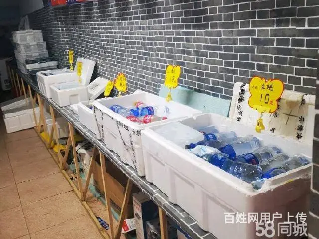 急转！锦州市古塔区西安街水产批发市场-北门76平水产店 - 图片 6