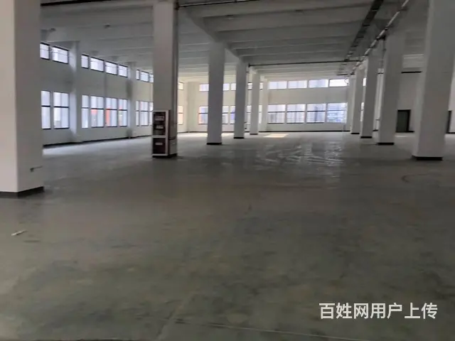 古里新厂房9000平，可分租，适合电商办公仓储等，随时可用。 - 图片 5