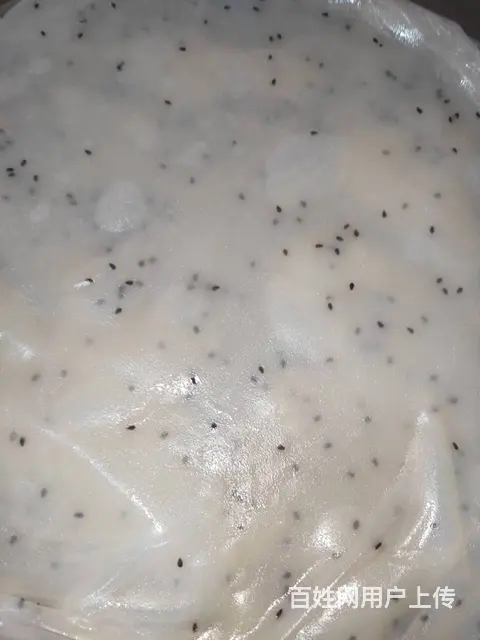 七彩果蔬凉皮小吃技术培训 凉皮技术哪里教学 - 图片 6
