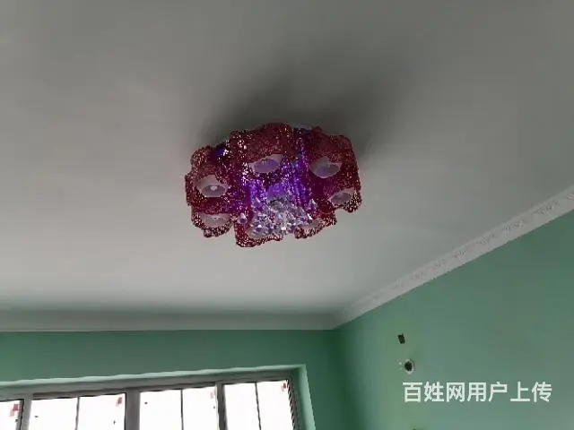 全新金装房屋出售 - 图片 5