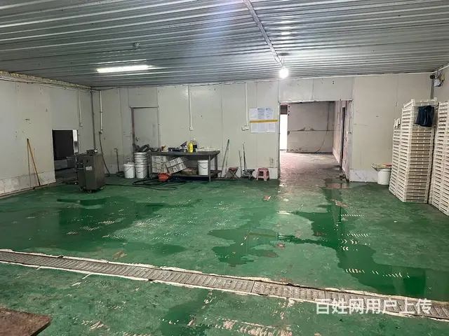 （城市在线找房免费）柳新马楼食品厂出租 （转让） - 图片 3